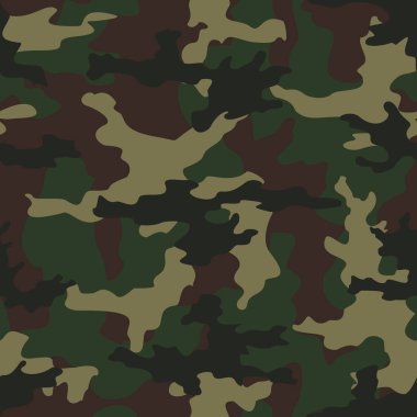 Ordu kamuflaj düzeni, askeri modeller. Süs