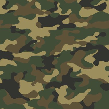 Soyut kamuflaj, ordu modeli. Vektör. Görüntü