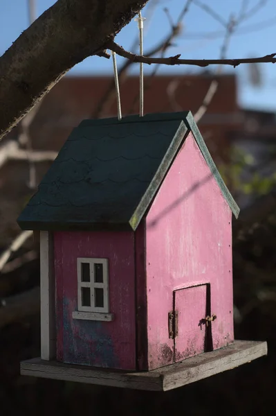 Vogelhuisje Hangend Aan Een Boom — Stockfoto