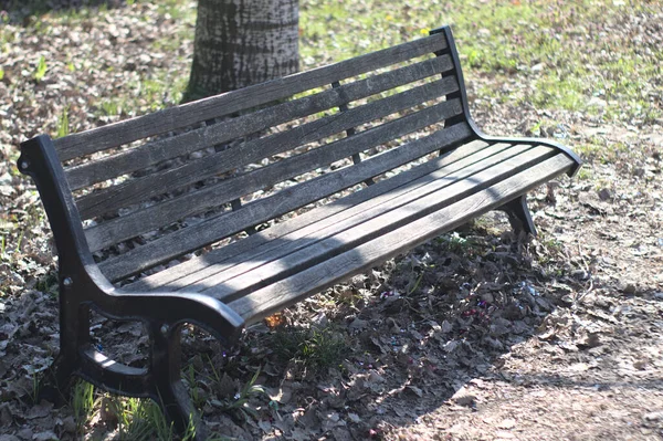 Banc Vide Dans Parc Fin Automne — Photo