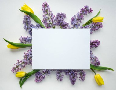 Leylak çiçekleri, sarı Hollanda lale çiçekleri ve beyaz arka planda kağıt kartlarla moda bahar düzeni. Minimum bahar çiçeği konsepti. Çerçeve, metin için boşluk kopyala, üst görünüm. Çiçek deseni.