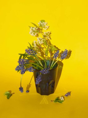 Bahar çiçekleri: Elma çiçekleri ve mor sümbül çiçekleri sarı arka planda mavi bardakta. Minimalist çiçek konsepti. Üzüm sümbülü düzeni, şablon, kart. Ev çiçekleri..