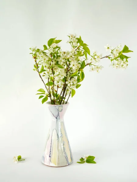 Bouquet White Flowers Ceramic Vase White Background Apple Tree Flowers — Stock Photo, Image