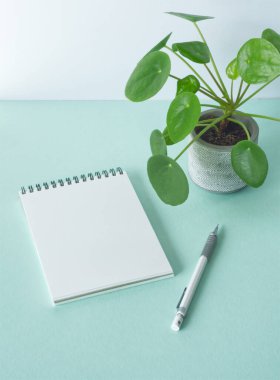 Çizim, çizim, çizim, logo tasarımı için açılan beyaz defterin modeli. Nane yeşili çizim defteriyle, beyaz kalemle ve saksıda pilea bitkisiyle. Boş kağıt sayfa, beyaz sayfa A5