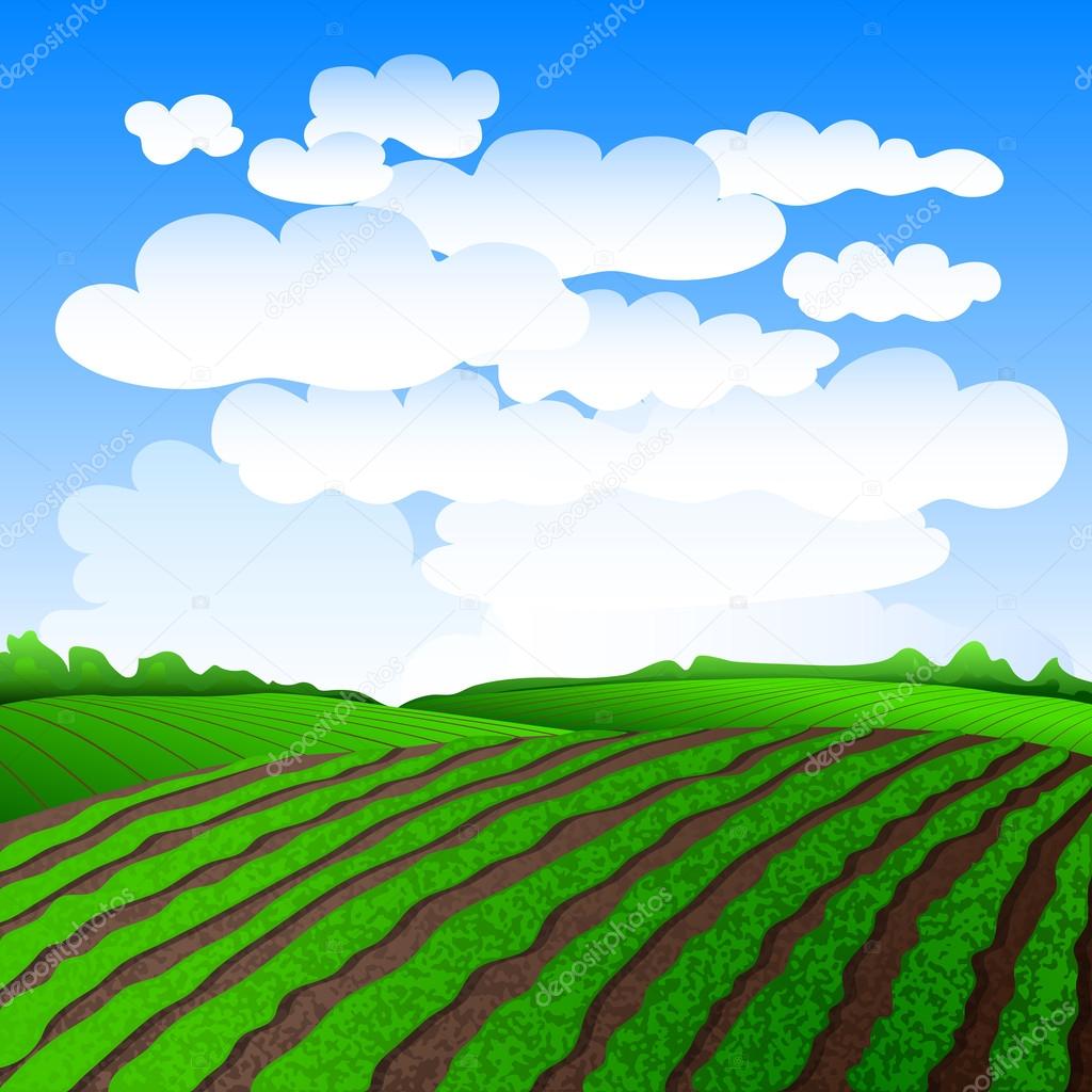 Rural landscape with green fields. Vector illustration EPS 10.