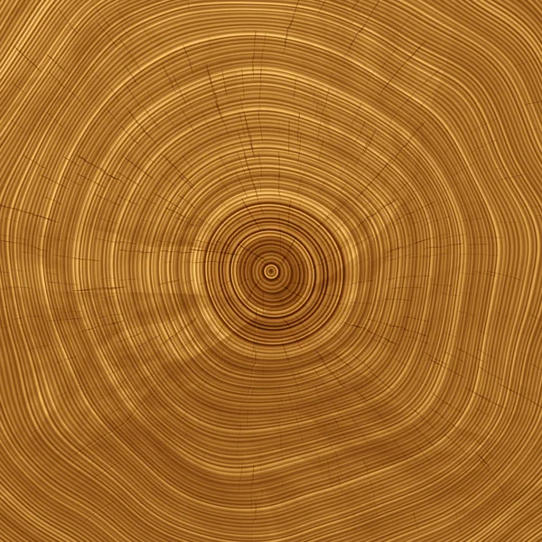 Cross section of the tree. Close-up wooden cut background. Wood