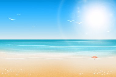 Tropikal plaj. Sandy beach parlak güneşin altında. Deniz kabuklarını ve 