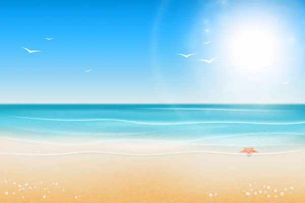 Tropikal plaj. Sandy beach parlak güneşin altında. Deniz kabuklarını ve 