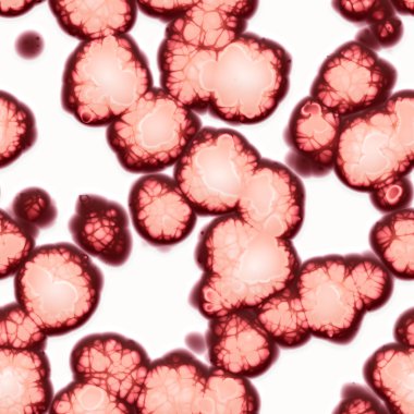 Sorunsuz doku hücrelerinin. Beyaz arka plan üzerinde izole.