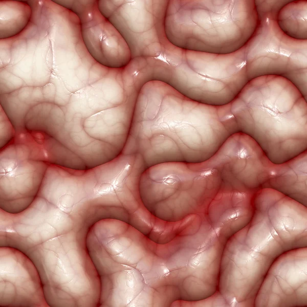 Textura cerebral inconsútil. Material realista del cerebro humano . —  Fotos de Stock