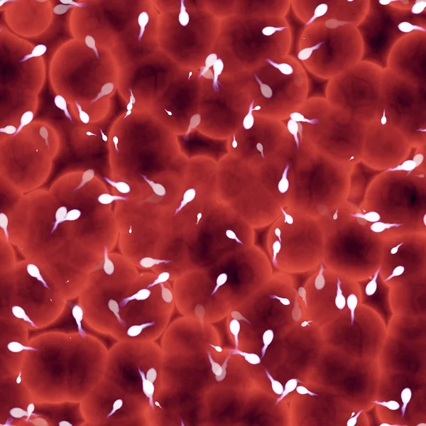Naadloze sperma illustratie op een rode achtergrond. — Stockfoto