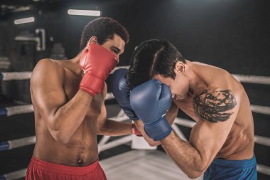 İki kickboksçu bir boks ringinde dövüşüyor ve agresif görünüyor.