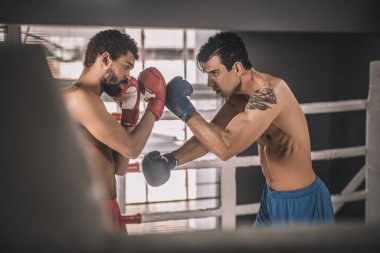 Spor giyimli iki adam bir boks ringinde antrenman yapıyor ve olaya dahil olmak istiyorlar.