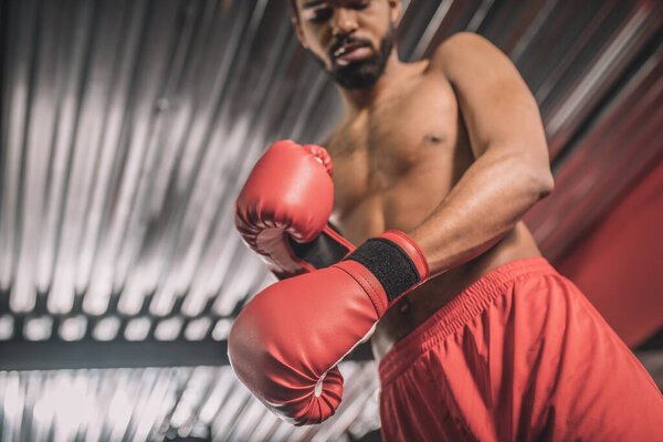 Dark-skinned kickboxer in red shorts and red boxing gloves