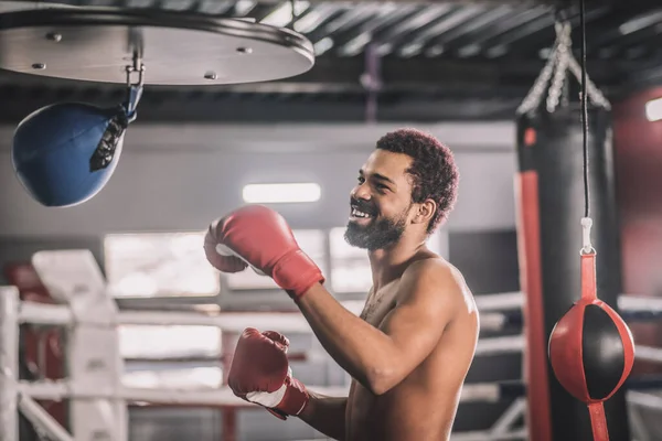 Afrikalı Amerikalı kickboksör spor salonunda antrenman yapıyor ve kum torbasını tekmeliyor. — Stok fotoğraf