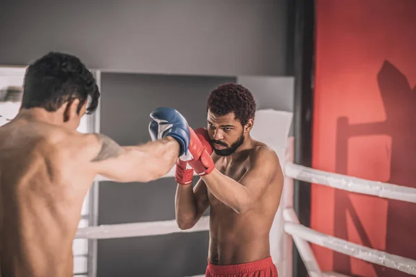 Dva mladí kickboxeři mají cvičení a vypadá zapojený — Stock fotografie