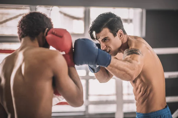 Dva rivalové bojují na boxerském ringu a vypadají agresivně — Stock fotografie