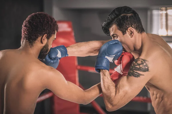 Dva rivalové bojují na boxerském ringu a vypadají agresivně — Stock fotografie