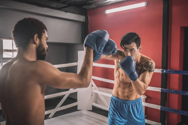 Jóvenes que luchan en un ring de boxeo y se ven determinados —  Fotos de Stock