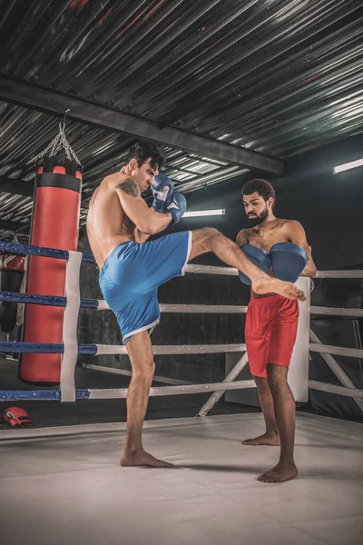 Kickboxeři bojující na boxerském ringu a vypadající zapojeni — Stock fotografie