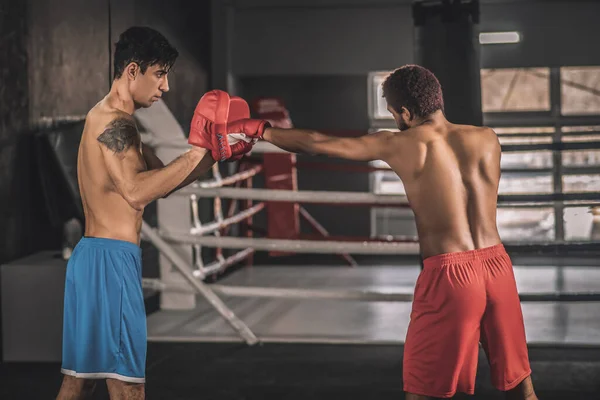 Młodzi mężczyźni trening w siłowni i patrząc zaangażowany — Zdjęcie stockowe