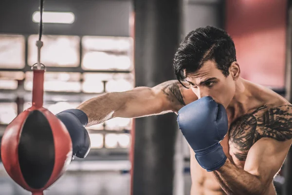 Spor salonunda egzersiz yapan kaslı bir adam kum torbasını tekmeliyor. — Stok fotoğraf