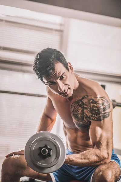 Muscular build young man working with the dumbbells in a gym