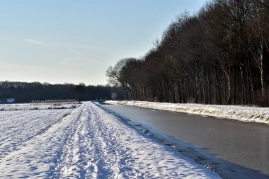 Bir tarafı ağaçlarla kaplı donmuş bir Hollanda kanalı ve patikası.