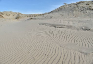 Hollanda 'daki Den Helder yakınlarında, deniz kenarındaki kum tepelerinde dalgalanmalar.