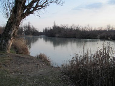Nehir kenarındaki şehir parkında kış akşamı