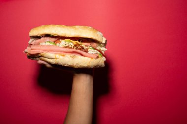 a hand holds a barda cake, mexican cake, mexican food, mexican sandwich with chiruzo, ham, avocado, white cheese, ceboola, tomato on a french bread, bolillo bread with a red background clipart