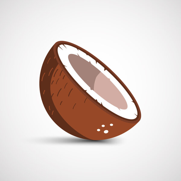 Vector half of coconut closeup on a white background