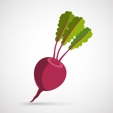 vektör şalgam üzerinde beyaz izole