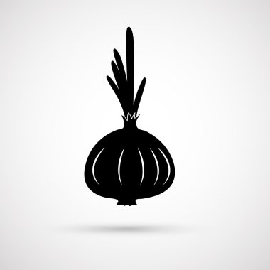 soğan vektör çizim