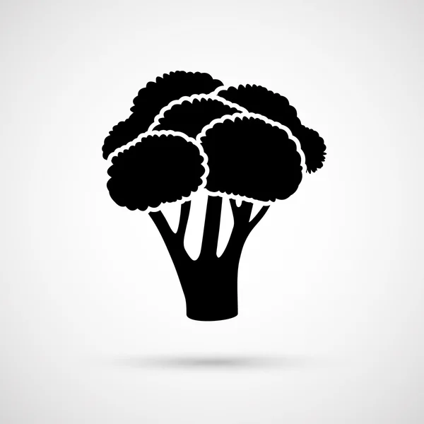 Vector illustration of a fresh green piece of broccoli — Stock Vector