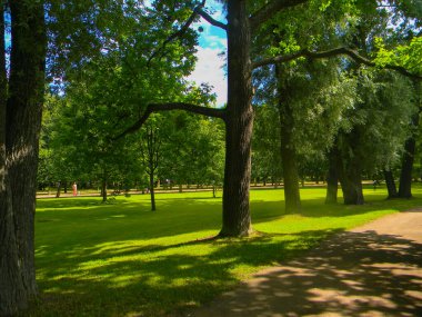 Peterhof 'daki Palace Park, sarayın heyecanı.