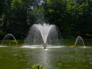 Rusya 'nın Peterhof kentindeki sarayın topraklarında güneş kaynaklı fıskiye.