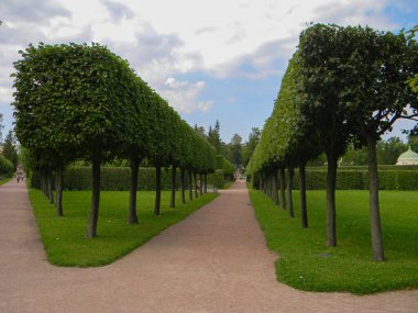 Sarayın çevresindeki sokak.