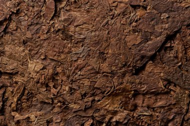 Tütün yaprakları desen