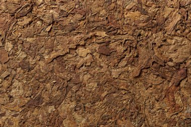 Tütün yaprakları desen