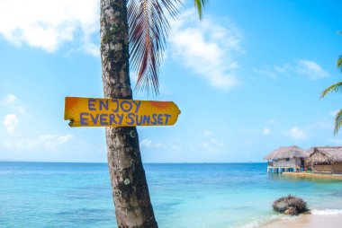 Palmiye ağacında asılı tahta ok güneşin doğuşunun tadını çıkarmanın yolunu gösterir.