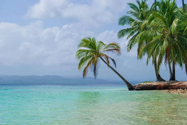 Palmeiras Uma Praia Tropical Com Água Cristalina Para Relaxar — Fotografia de Stock