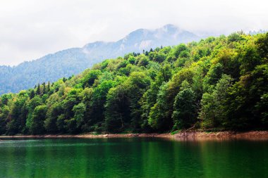 Piwa Gölü dağları ve ağaçları, Karadağ 'daki kara gölü kuşatmıştır.