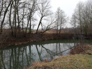 Ubid Nehri kıyısında, Ukrayna 'nın Sosnytsia köyü yakınlarında. Ocak 2021.