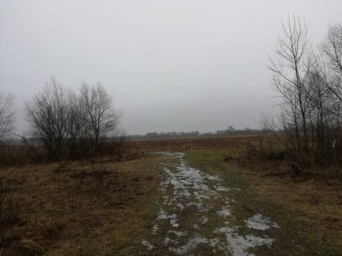 Ukrayna 'nın Sosnytsia köyünden çayırlara. Ocak 2021.