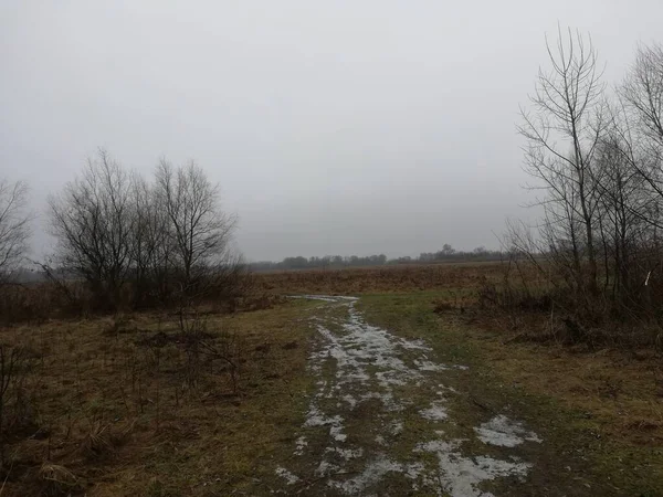 Ukrayna 'nın Sosnytsia köyünden çayırlara. Ocak 2021.