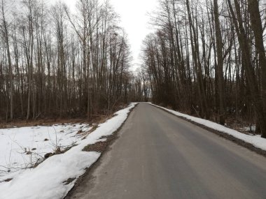 Ukrayna 'nın küçük bir köyü olan Masalaivka yakınlarında. Mart 2021 Mart