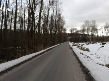 Ukrayna 'nın küçük bir köyü olan Masalaivka yakınlarında. Mart 2021 Mart