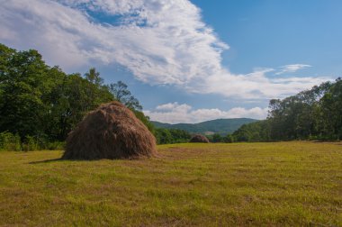 Sahada saman yığını