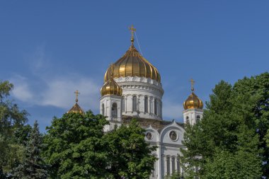 Kurtarıcı İsa 'nın Katedrali